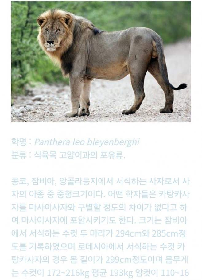 1ebec223e0dc2bae61abe9e74683716d90d523a0bf069af4fc5ad4a0beee5295b928e75b7729600a7ad1be5fcc2bde0b4017bc68202c61c36aa4