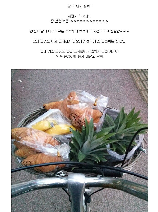 image-1.png 살 빼려고 자전거 산 후기.jpg 살 빼려고 자전거 산 후기.jpg