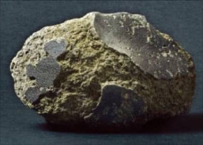 (3) 일본은 럭비공 크기의 ‘화성의 돌’을 일반에 처음 공개했다. 1300만 년 전 화성에서 날아와 수만 년 전 지구에 도달한 것으로 추정된다.  연합뉴스