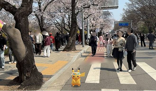 AR 스냅샷을 활용해 ‘꽃모자를 쓴 피카츄’와 즐기는 벚꽃축제./나이언틱 제공
