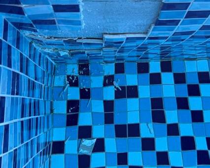 온라인 커뮤니티 갈무리.