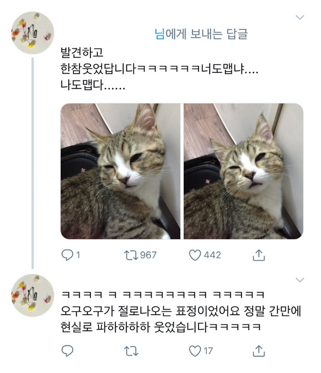 Picsart_25-04-15_17-23-33-136.png 양파때문에 눈물나오는 고양이