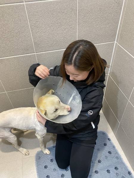 산불 현장을 동분서주 누비며, 죽거나 다친 동물들을 찾아다니던 이효정 도로시지켜줄개 대표. 새벽에 일어나면 억지로라도 열심히 밥을 먹었다고 했다. 그만큼 고된 시간이었다./사진=남형도 기자