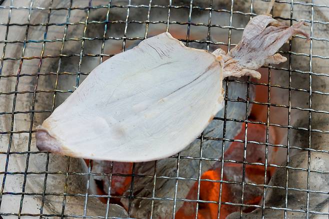 마른 오징어. 클립아트코리아 제공