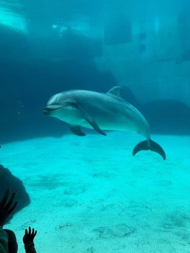 a6523cac3612b35896f1dca511f11a392935de99051043bd1d