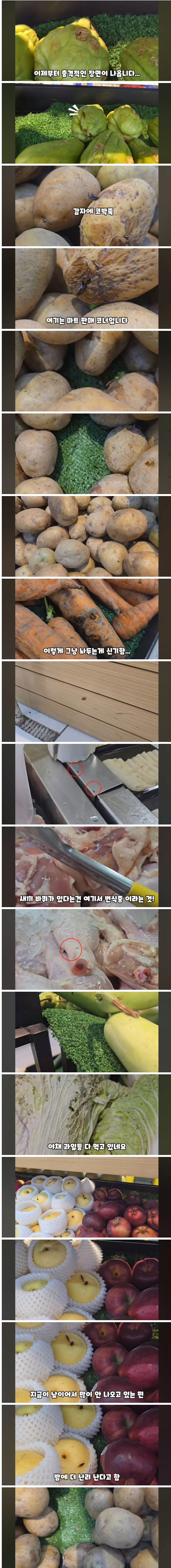 image.png 난리난 필리핀 마트 진열대 위생 ㄷㄷㄷㄷ