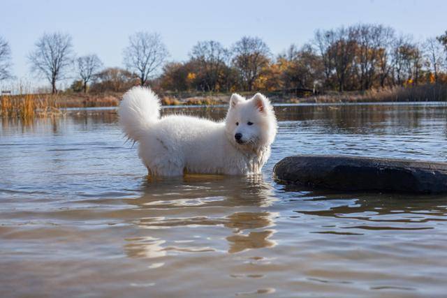 게티이미지뱅크
