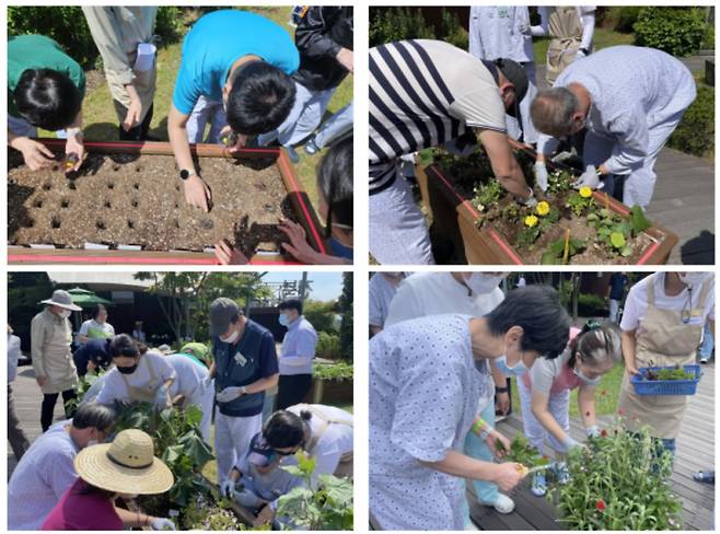 치유농업 프로그램. 사진=농촌진흥청