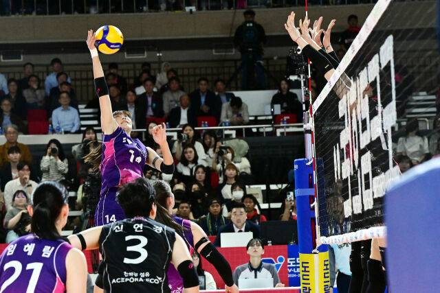 흥국생명 정윤주가 공격을 시도하고 있다. / 한국배구연맹(KOVO)
