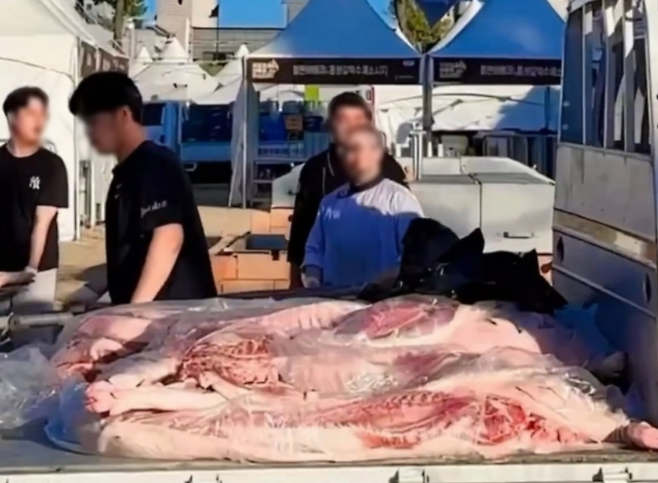 2023년 홍성 바베큐축제에 사용된 바베큐용 생고기가 트럭 적재함에 실려 운반되는 모습. [온라인 커뮤니티 캡처]