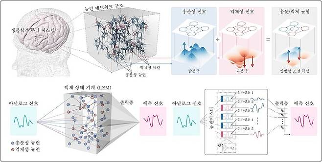 [대전=뉴시스] 뉴랜지스터 연구 모식도. 뉴랜지스터는 흥분성과 억제성 신경 동역학을 동시에 구현할 수 있으며 뇌와 유사한 LSM 구조에 적용할 수 있다.(사진=KAIST 제공) *재판매 및 DB 금지
