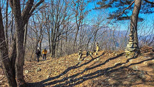 봉명산 능선길.