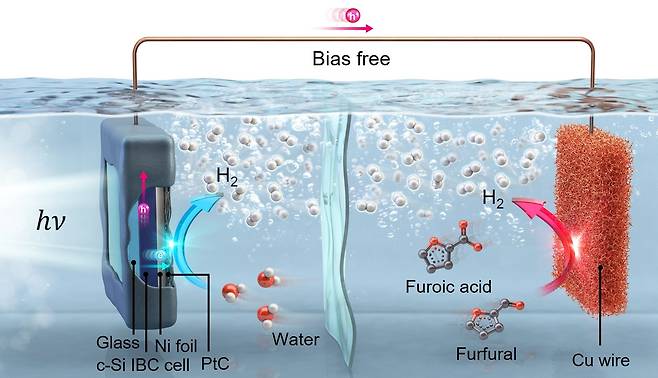 연구 그림 태양광만을 이용한 고효율 이중 수소 생산 시스템 모식도. [울산과학기술원 제공. 재판매 및 DB 금지]