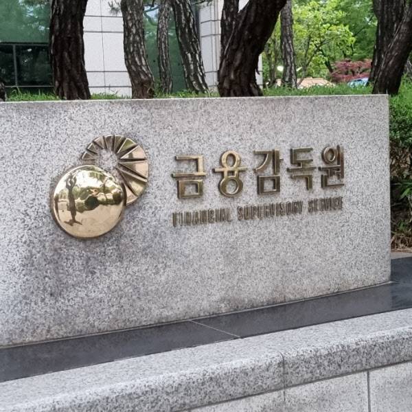 금융감독원