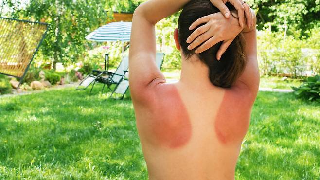 게티이미지뱅크.