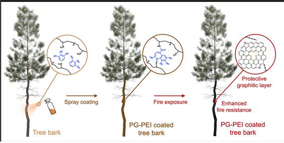 개발된 난연 코팅제의 작용 모식도, 간단한 스프레이 코팅 공정을 통해 도포된 폴리페놀 성분이 고온에서 흑연층으로 전환되는 화학적 과정을 나타내고 있다.