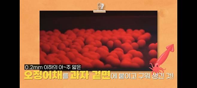 오징어 땅콩 무늬의 정체.jpg 오징어 땅콩 무늬의 정체.jpg