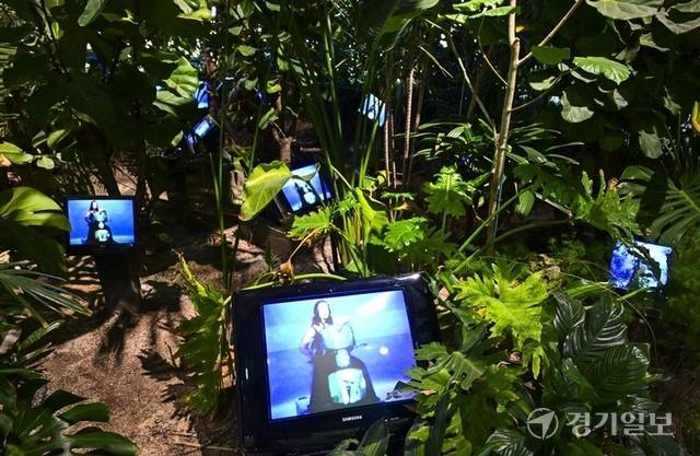 전지적 백남준 시점 전시중 ‘TV 정원’. 홍기웅기자