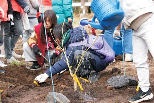 지난 5일 식목일을 맞아 제주 한림읍 비양도에서 진행한 황근 군락지 복원 행사. 한국관광공사 제공