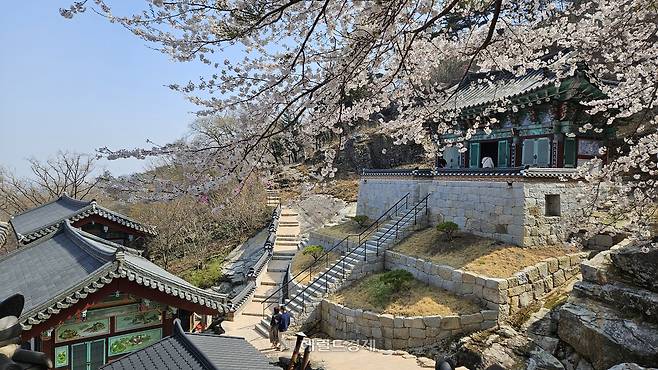 장유사 경내 전경