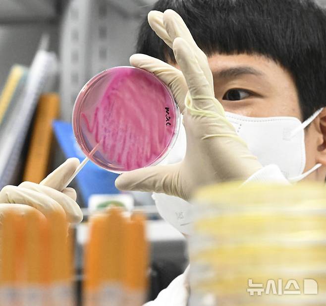 [홍성=뉴시스] 지난해 8월29일 경기도 수원시 권선구 경기도보건환경연구원에서 한 연구원이 식중독균 배양분리작업을 하고 있다. (사진=뉴시스 DB). photo@newsis.com