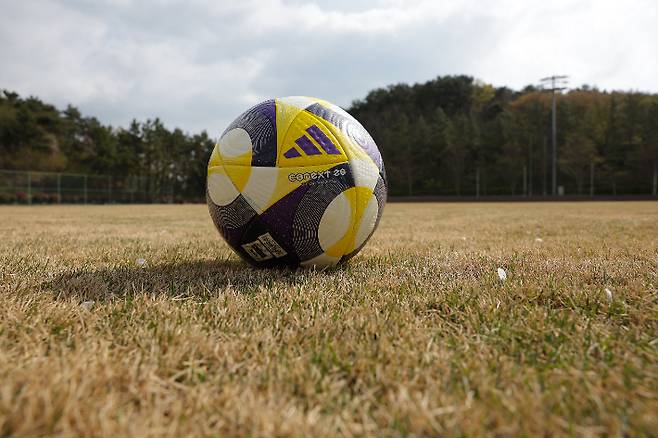'난지형 잔디'로 새단장 한  강동 축구장. 울산 HD 제공