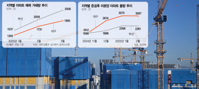 사진 설명