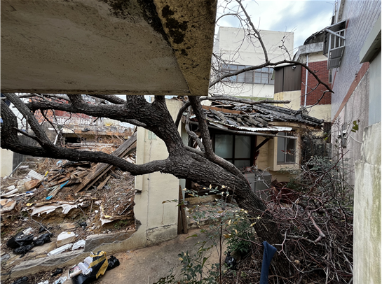 부산 동구에 위치한 '빈집 매입 및 생활 사회기반시설(SOC) 조성사업' 대상지 ⓒ부산시