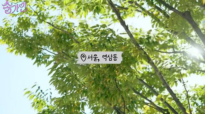 /사진=송가인 유튜브