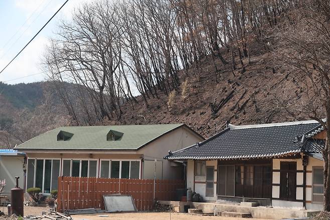 산사태 우려되는 야산 밑 주택 [촬영 황수빈]
