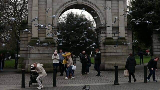 새가 날아가는 장면을 연속 촬영으로 포착했다. (사진=지디넷코리아)