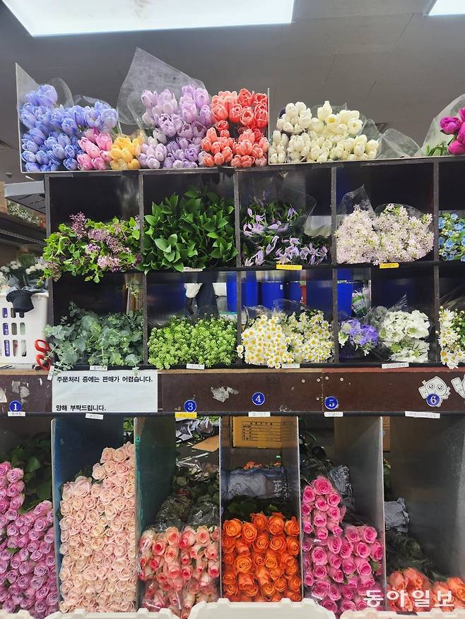 눈이 맑아지는 꽃 진열대. 칸막이마다 꽃 이름표를 붙여 놨다. 이설 기자 snow@donga.com