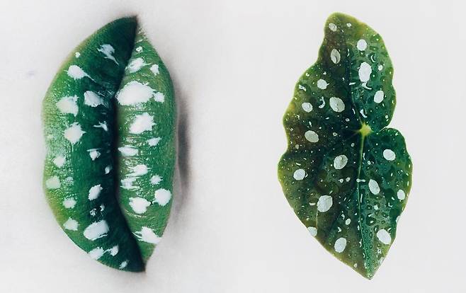 조기석의 FLOWER STUDY.