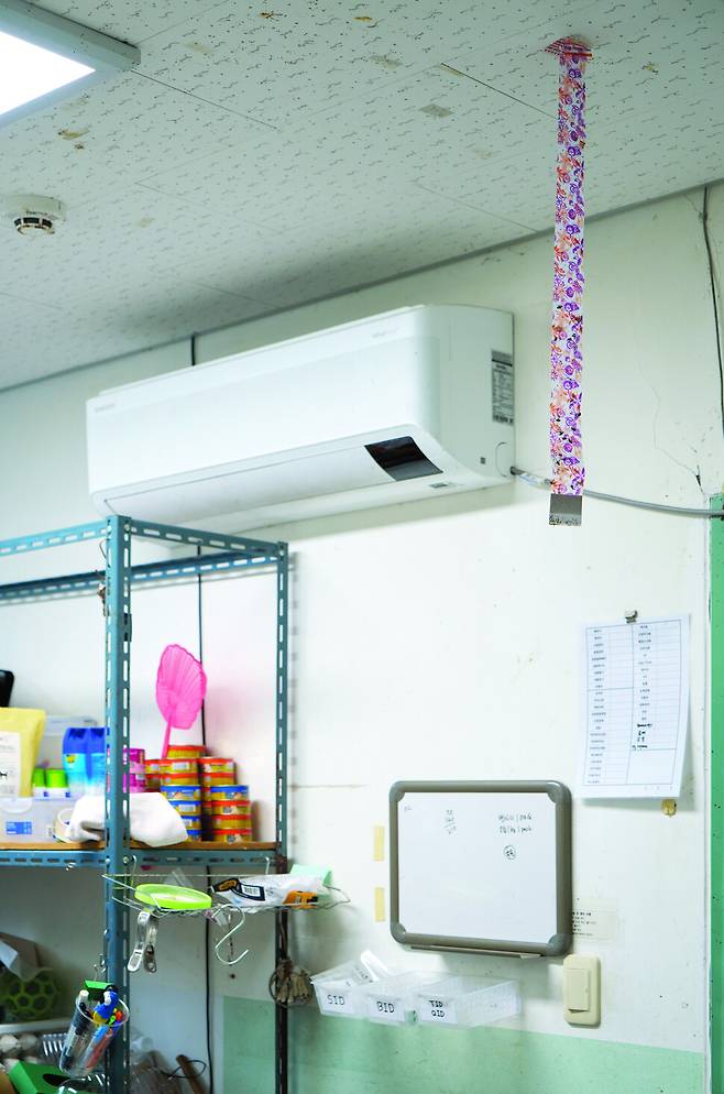 “살려야 하는 것과 죽여야 하는 것이 공존하는 풍경. 한쪽에는 구조된 동물을 위한 사료와 조리 도구가 놓여 있고, 다른 한쪽에는 해충을 잡기 위한 끈끈이와 파리채가 자리하고 있다. ―2024년 3월 19일 충청남도 예산군 충남야생동물구조센터” ⓒ 이지양, 사계절 제공