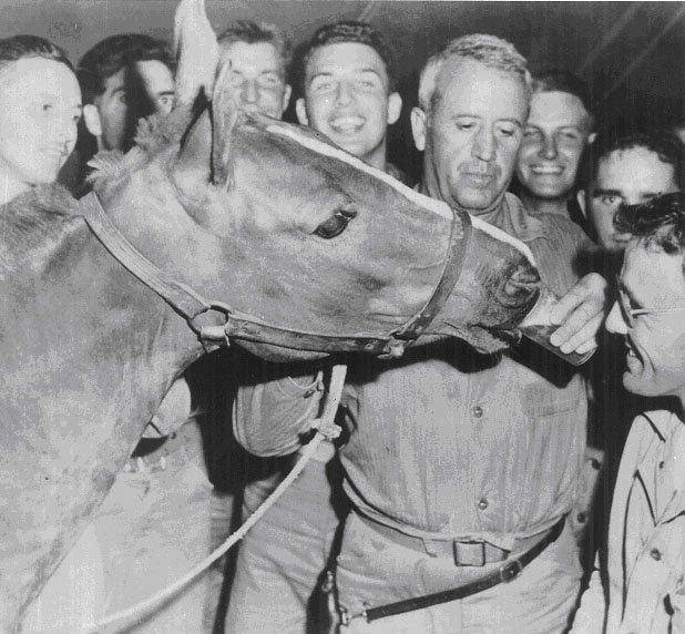 한국전쟁에서 활약한 군마 레클리스. 미국 국방부 국방영상정보배포서비스(DVIDS) 캡처