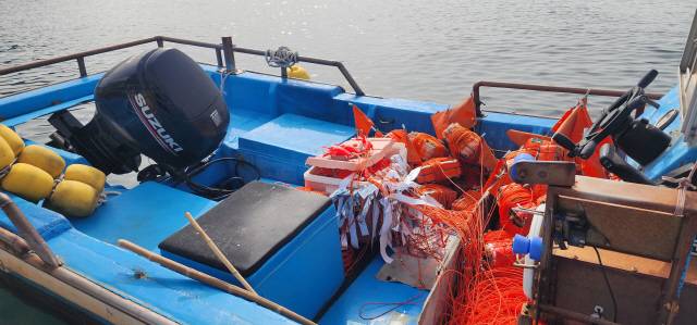 ▲ 17일 문어잡이 연승 어선이 거진항구에서 돼지비계 미끼로 출어 준비를 하고 있다.