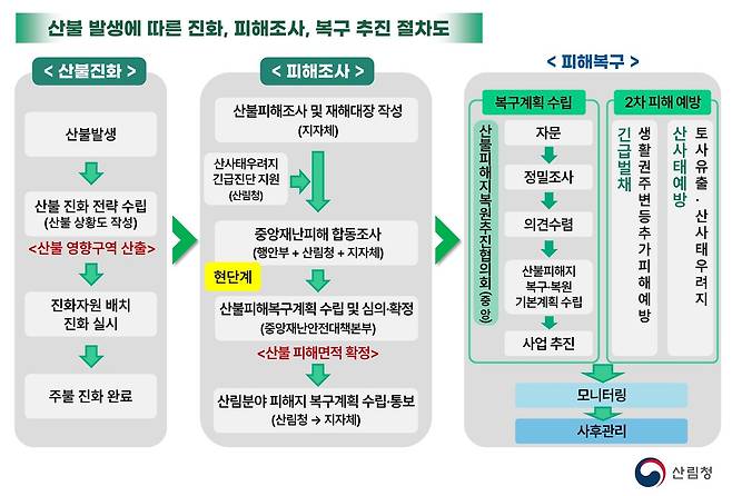 산불 발생에 따른 진화·피해조사·복구 추진 절차도. 산림청 제공