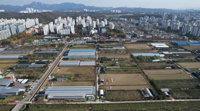 기사와 관련 없는 사진. 서울경제DB