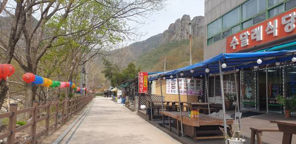 주왕산국립공원 대부분의 구간이 입산통제 되면서 사계절 관광객들로 넘쳐나던 청송 주왕산 상가에 인적이 끊겼다. 상인들은 생존권이 위협받는다면서 통제 해제를 호소하고 있다. 서충환 기자