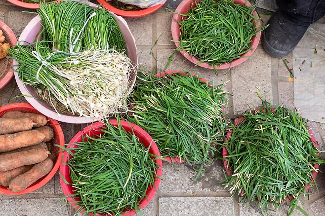 달래가 시장에 등장하면 봄이 왔다는 증거다. 장에서 만난 달래와 부추. /윤혜자 제공