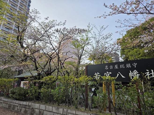 viewimage.php?id=23b2db27ebc637&no=24b0d769e1d32ca73de885fa1bd62531058478fac3157bc024e4bab3a0657cd6a72ddb06c46551085fd07b2494d3f0e3d44a71685158ce8387de78fe2e880d1f5c8df6