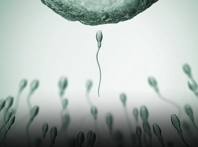 사진=스펌레이싱(SPERM RACING) 인스타그램