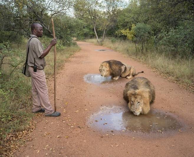 2025 소니세계사진상 ‘올해의 사진작가상’을 받은 ‘인류세 환상’ 시리즈. © Zed Nelson|Sony World Photography Awards 2025
