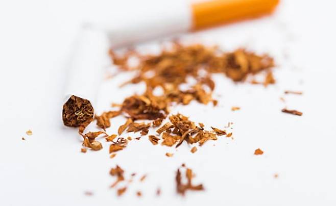 게티이미지뱅크