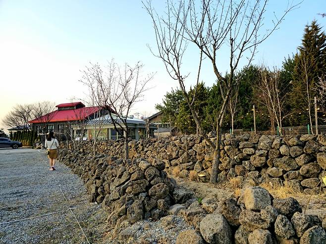 춘천세계주류마켓 돌담길.