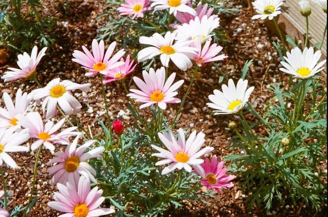 0be48205c0f11cf123ecf2e1429c701f00554f6b9276bea1d75c5c026cc65bab5274032e4457eb03fcb10c9af1d51bbba4a9150c