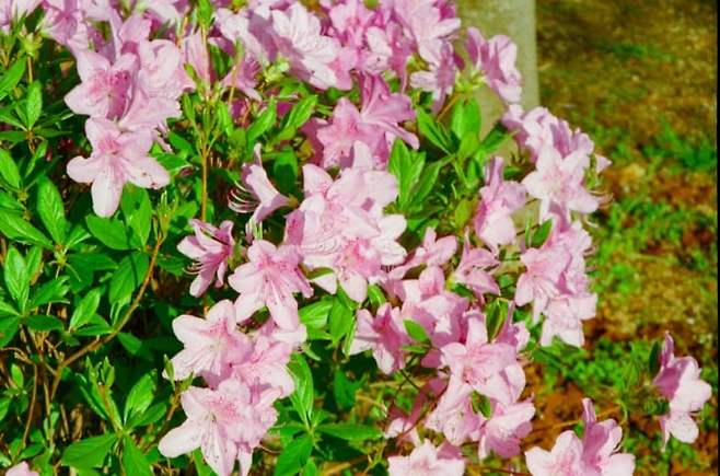 7eeff174b28a6ff023ea84e4459c7068eae9ea3924d34150d7eabe7a88385b427aa38328a8f49020cdb1081101ada18de30bc52b