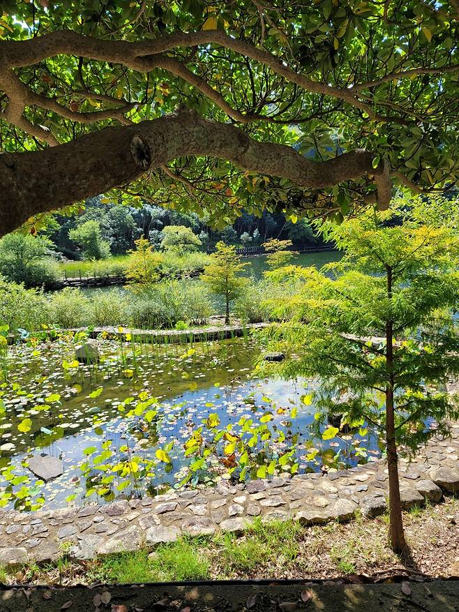 전남 완도수목원. 김지나 씨 제공