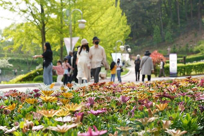청남대 ‘영춘제’는 지역을 대표하는 봄꽃 축제답게 눈길 닿는 곳마다 봄꽃을 비롯한 석곡개화작, 야생화 분경작품 등이 전시된다. 청남대관리사업소 제공