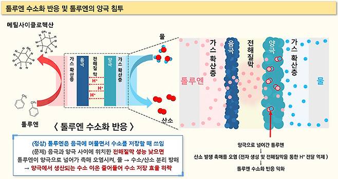 톨루엔 수소화 반응 및 톨루엔의 양극 침투. 한국화학연구원